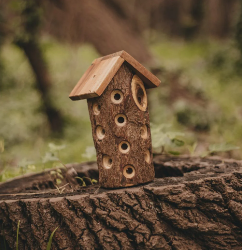 Lady Bug House