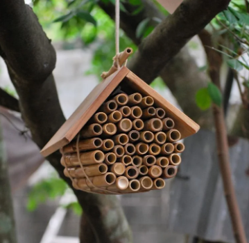 Hanging Bee House