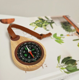 Wooden Compass