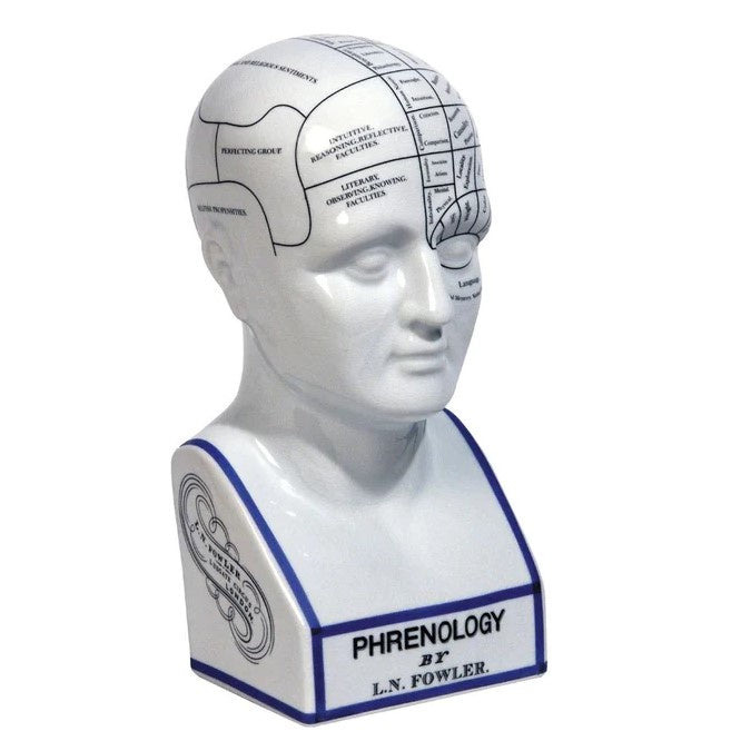 Phrenology Head Large