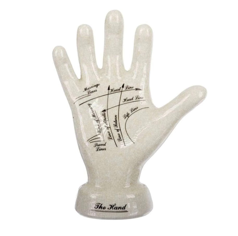 Palmistry Hand - 25cm