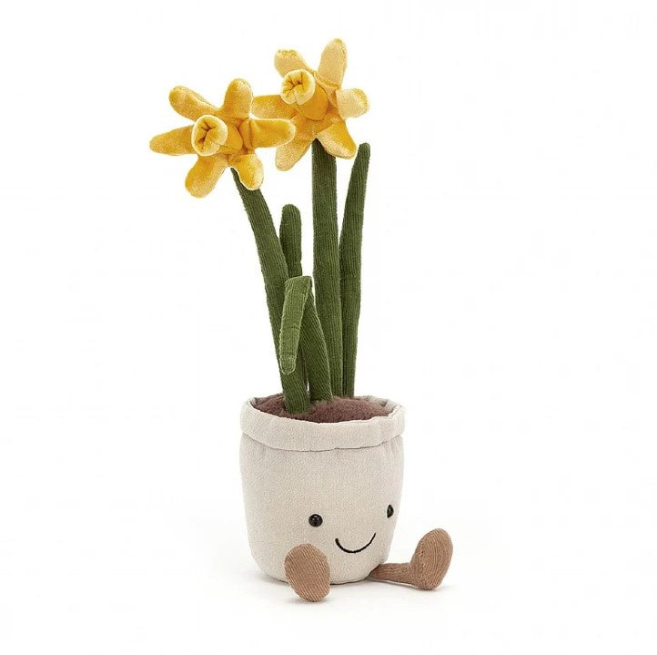 Amuseable Daffodil