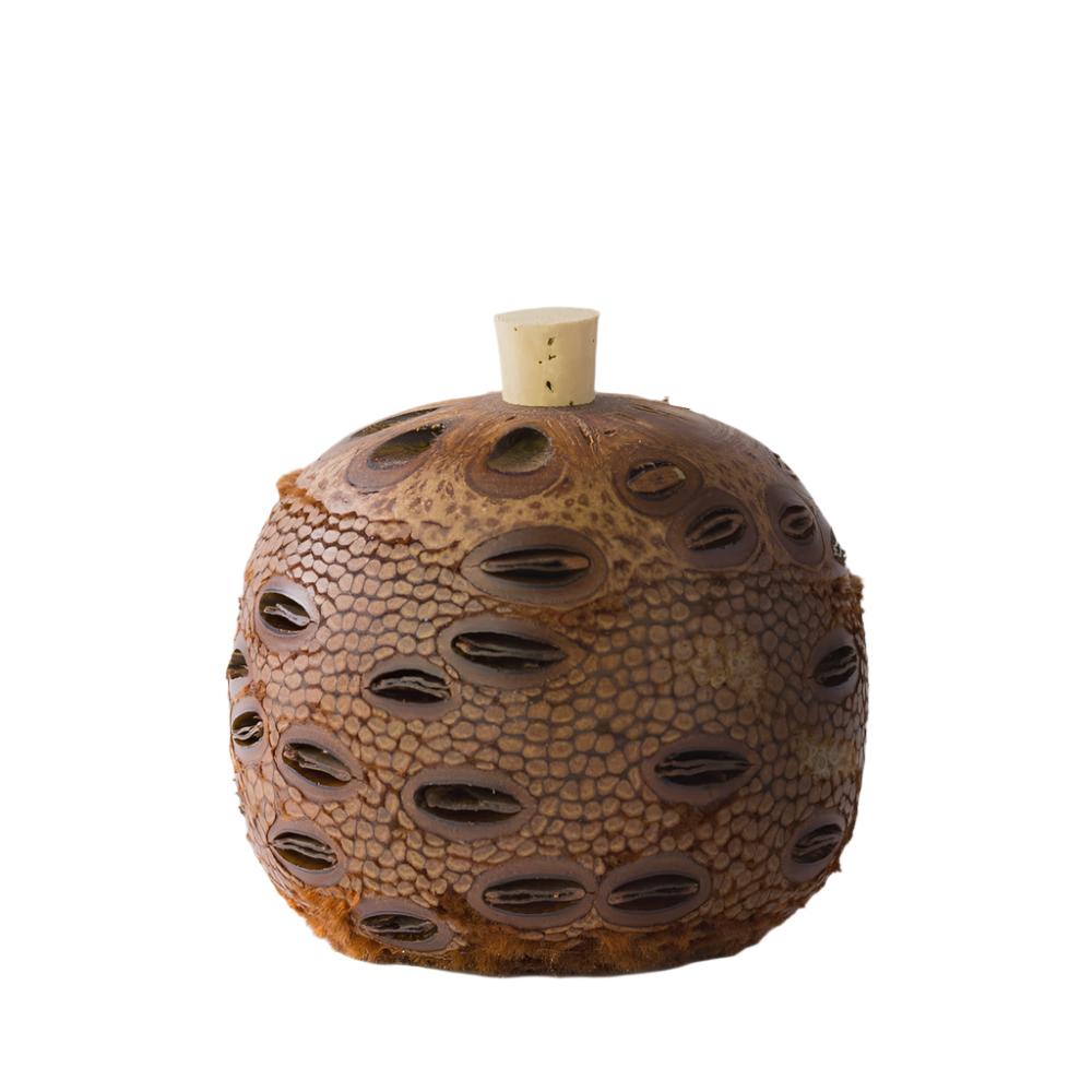 Banksia Aroma Pod Diffuser