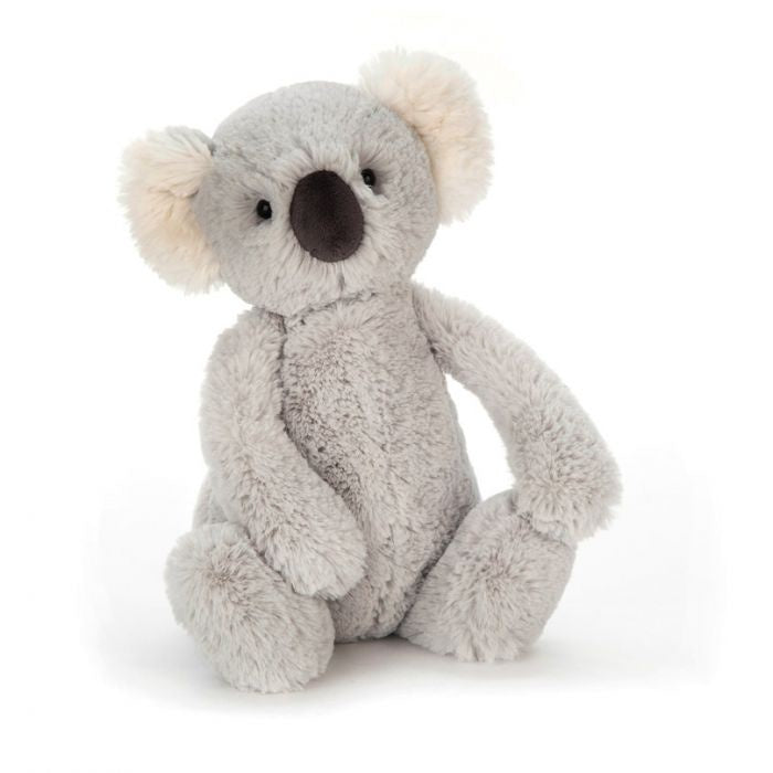 Bashful Koala - Medium