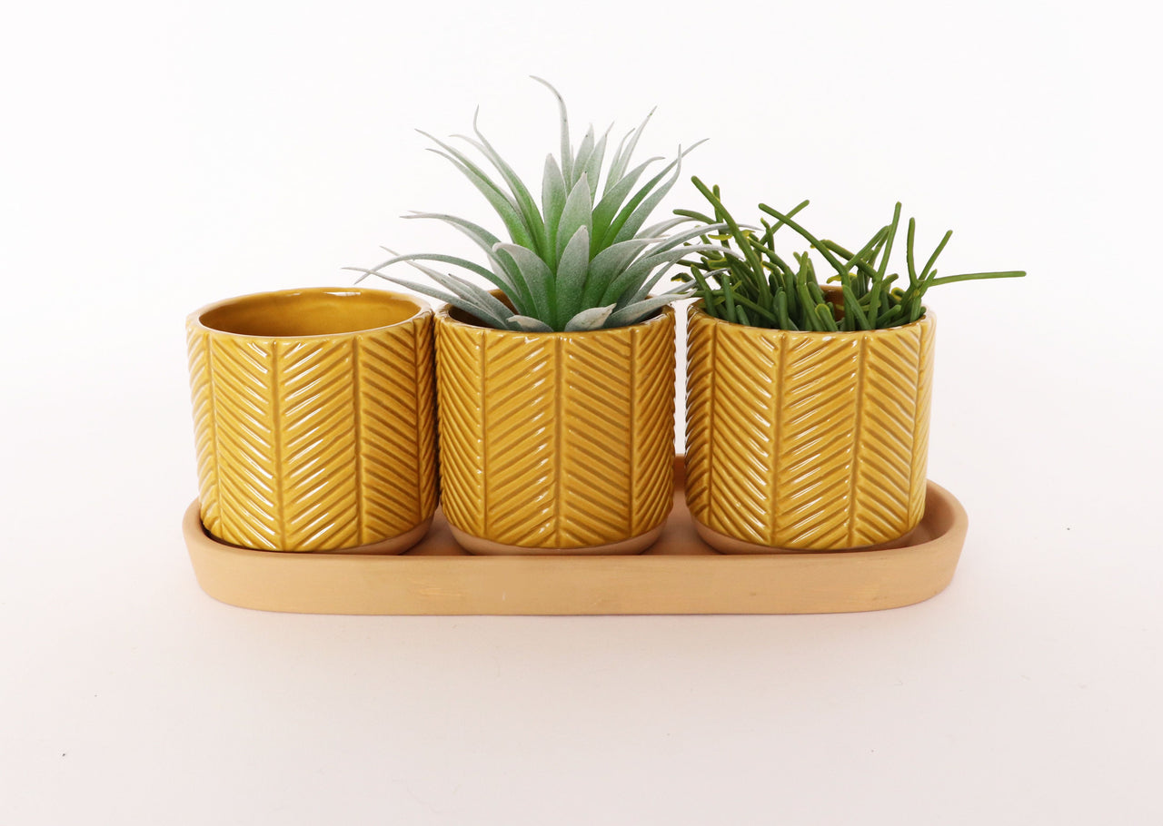 Zari Planters on Saucer